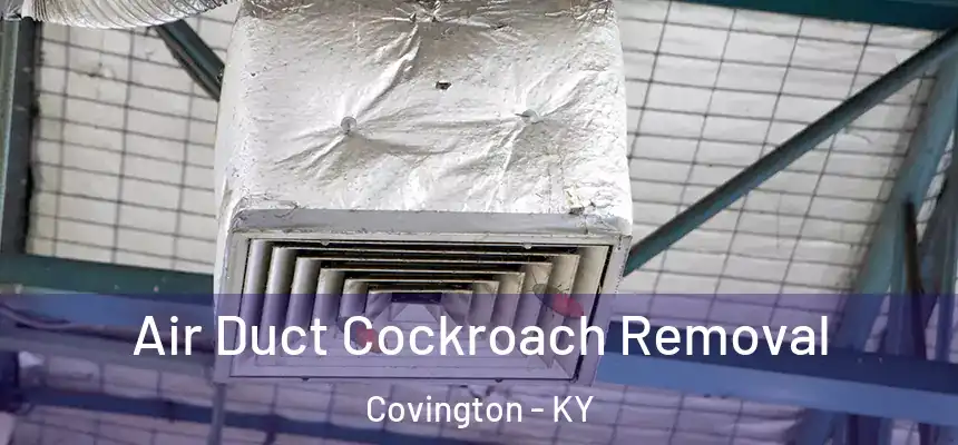Air Duct Cockroach Removal Covington - KY