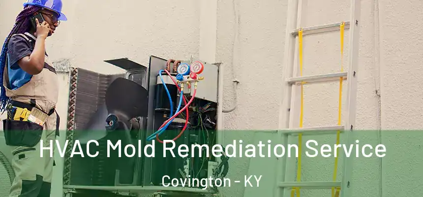  HVAC Mold Remediation Service Covington - KY