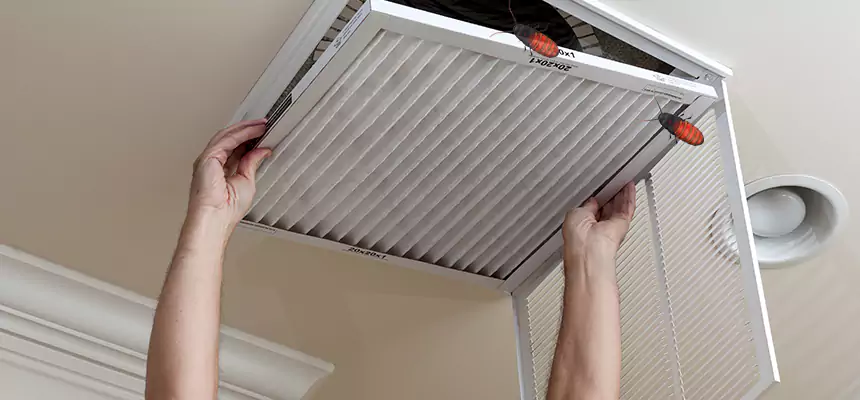 Preventive Cockroach-Proofing for Ducts in Covington