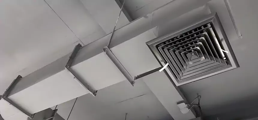 Our Pest Removal From Ducts Services in Covington, KY