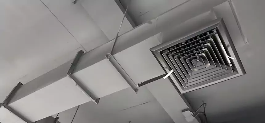 Our Rodent Droppings In Vents Services in Covington, KY