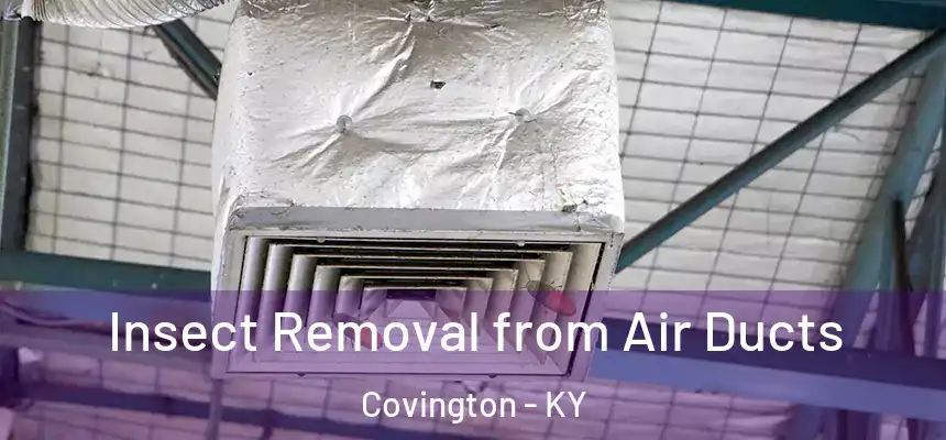  Insect Removal from Air Ducts Covington - KY