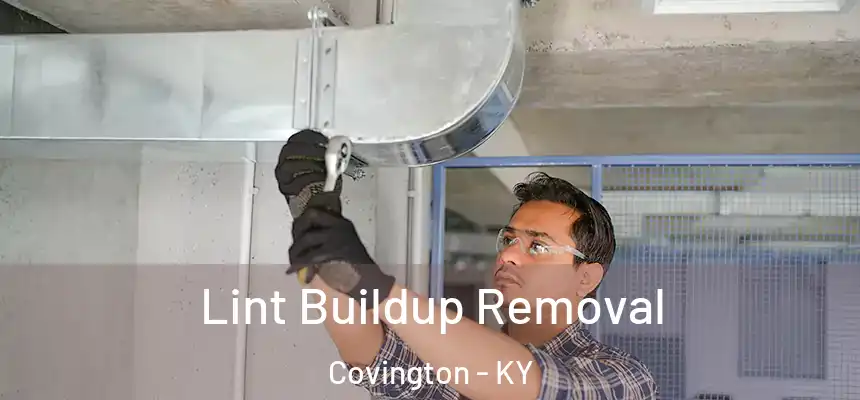 Lint Buildup Removal Covington - KY