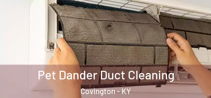 Pet Dander Duct Cleaning Covington - KY