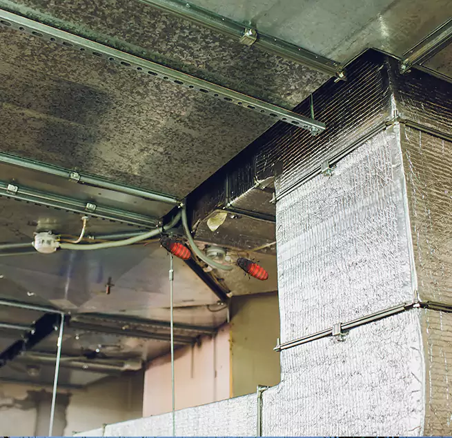 Why Homeowners & Businesses Trust Us in Covington, KY?