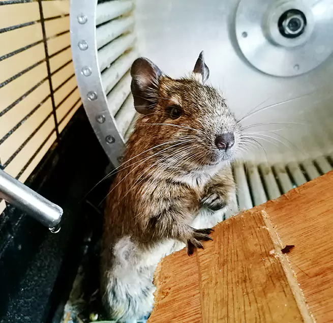 Why Homeowners & Businesses Trust Us Covington, KY